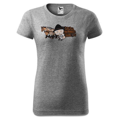 Da Oid Sinzer Pferdegespann T Shirt Damen Grau Meliert Schlossberg Front Da Oid Sinzer Pferdegespann T Shirt Damen Grau Meliert Schlossberg Front